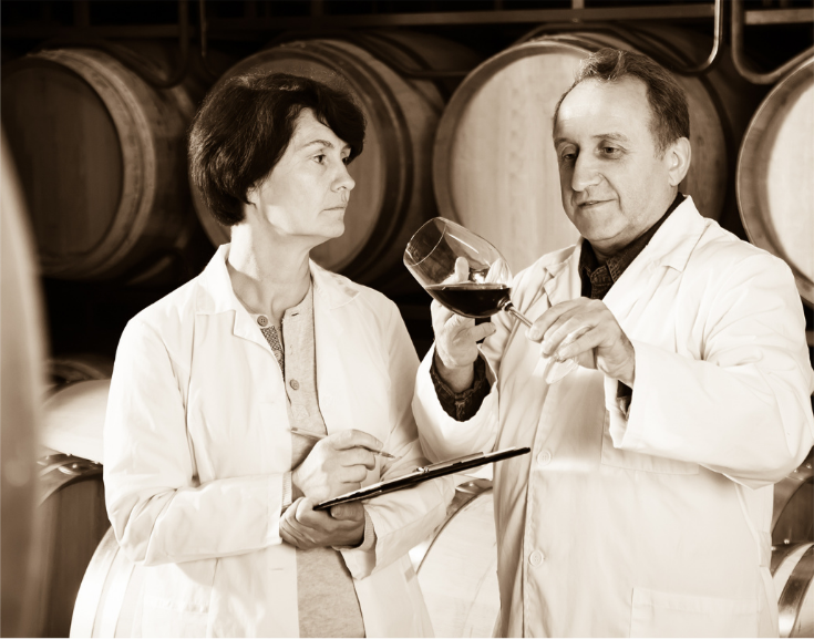 Wine experts crafting the Sorso