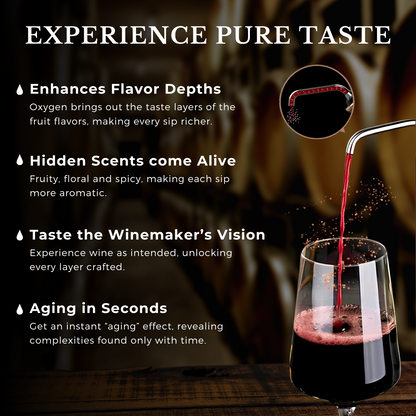 Sorso Electric Wine Aerator